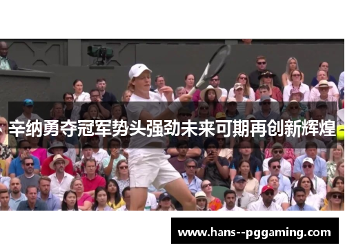 辛纳勇夺冠军势头强劲未来可期再创新辉煌