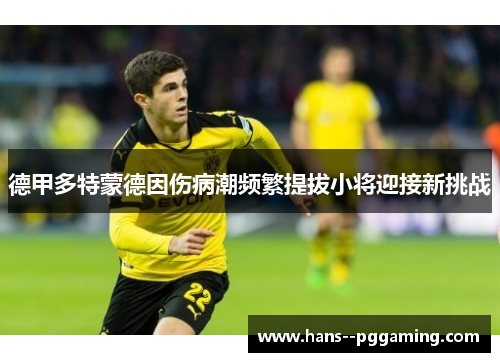 德甲多特蒙德因伤病潮频繁提拔小将迎接新挑战 德甲多特蒙德因伤病潮频繁提拔小将迎接新挑战