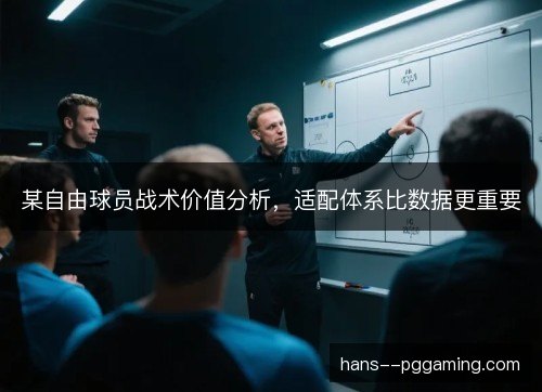 某自由球员战术价值分析，适配体系比数据更重要